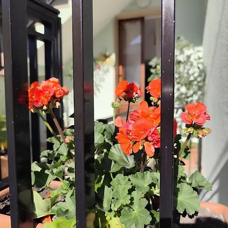 Casa Teresa * Tricase