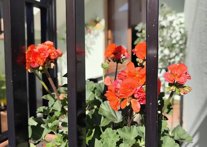 Casa Teresa * Tricase